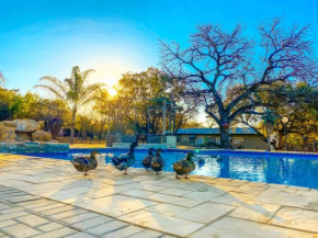 Kingdoms Lodge